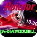 antigua hawksbill Max Pro v5.7.4