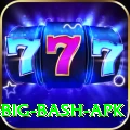 bbl big bash apk Apps (Tools & Injectors) Elite v1.3.3