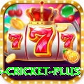 bet365 cricket Mega Slots