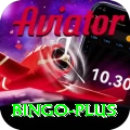 bingo Pro Max v2.2.2