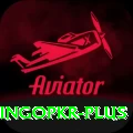 bingopkr Master Pro v3.3.4
