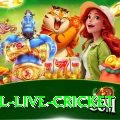 bpl live cricket Pro v3.1.4