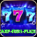 carp fish Prime 2024