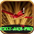 cricket aus Money Supreme v1.6.8