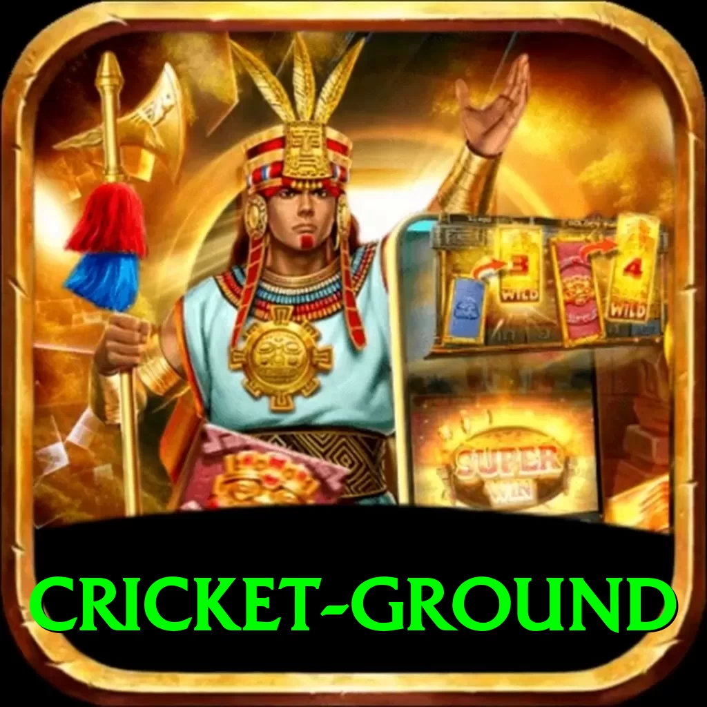cricket ground Pro Max v4.6.2 - 2