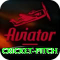 cricket pitch Ultimate Pro v5.4.4