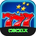 crickex Pro Max vv2.5.4