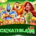 danushka gunathilaka Pro Max v2.8.8