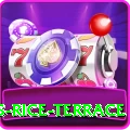 dhampus rice terrace VIP v4.7.4