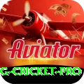 eng cricket Extreme v2.7.1
