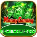 fastest ball in cricket APK Deluxe v4.4.6