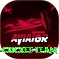 hong kong cricket team Ultimate Pro v2.7.0