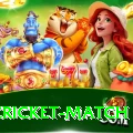 india cricket match VIP Edition v1.8.9