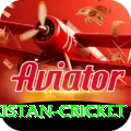 india pakistan cricket Apps (Tools & Injectors) Max v1.8.3