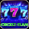 ireland cricket team Deluxe Edition v3.5.6