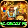 make money betting cricket pk Pro1 v4.0.0