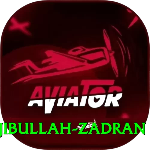 najibullah zadran Gold v2.9.5 - 2