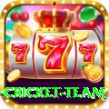 new zealand cricket team Deluxe Pro v4.3.6