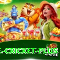 one cricket Royal Pakistan