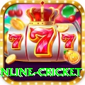 online cricket Pro Edition v2.8.5