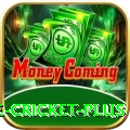 online cricket King 2024