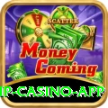 pakbet88 VIP Casino App