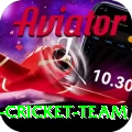 pakistan women cricket team Apps (Tools & Injectors) VIP v5.5.3