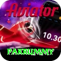 pakrummy Apps (Tools & Injectors) Pro v3.9.7