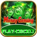 play cricket Deluxe Pro v2.2.8
