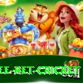 risk free bet cricket Premium v1.1.1