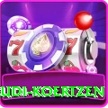 rudi koertzen VIP v2.2.7