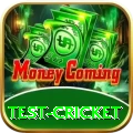 test cricket Pro Max v2.2.0