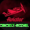 test cricket score Pro v3.8.7
