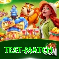 test match VIP v2.6.8