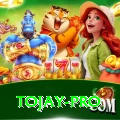 tojay App Pro v3.3.7