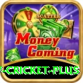 v cricket - Slots Super