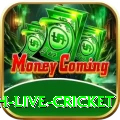 watch live cricket Games (Casino & Earning) Deluxe v3.2.4